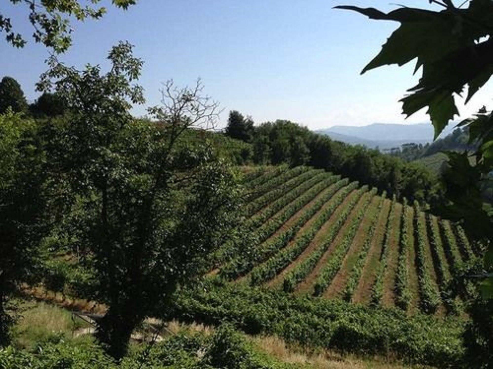 Agriturismo Costa Dei Platani Acqui Terme Exterior photo